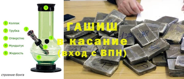PSILOCYBIN Белокуриха