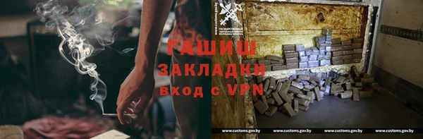 PSILOCYBIN Белокуриха