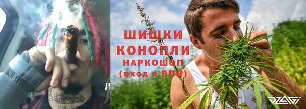 PSILOCYBIN Белокуриха