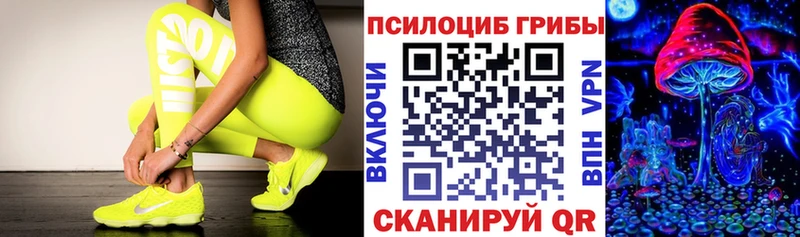 KRAKEN как войти  Рудня  Галлюциногенные грибы Magic Shrooms 